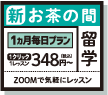 新お茶の間留学