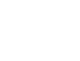 SCALE UP